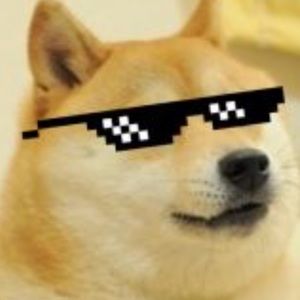 Meet your Posher, Tabitha